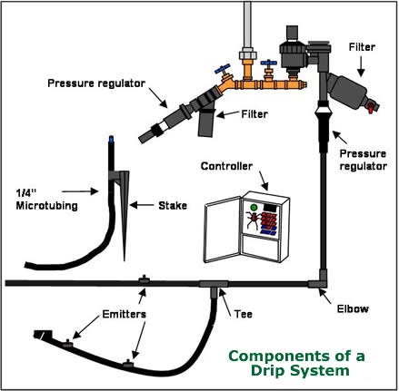 Drip System