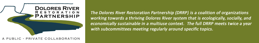 Dolores River Restoration Project